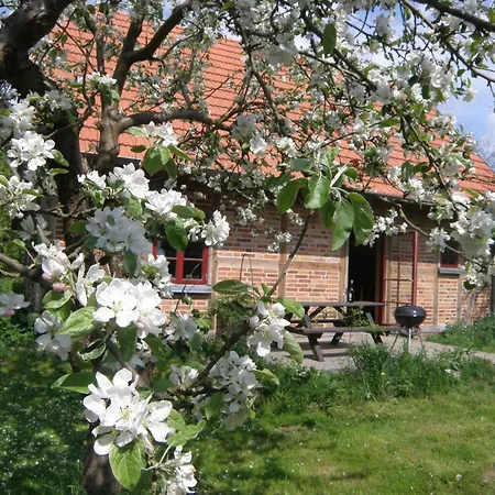 Hébergement de vacances Apfelhof Schorssow